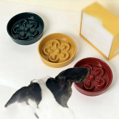 Dog eating from red slow feeder bowl beside green and yellow pet bowls on white surface