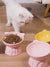 Ceramic Elevated Cat Bowl with 15° Tilt-Petroom