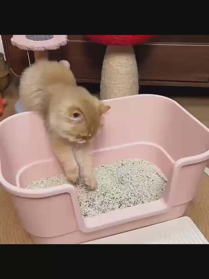 Extra-Large Open Cat Litter Box with High Sides & Scoop Holder-Petroom