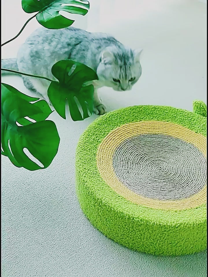 2-in-1 Cat Scratchers Bed Avocado Style