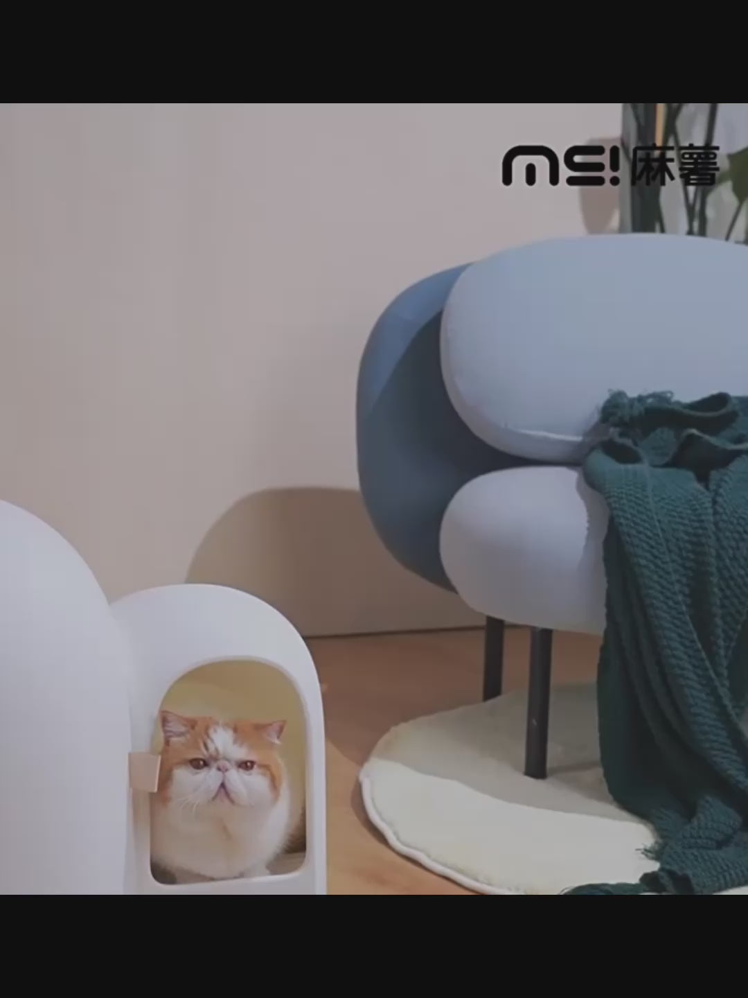 Makesure Cat Litter Box MAX Ideal for large cats-Petroom