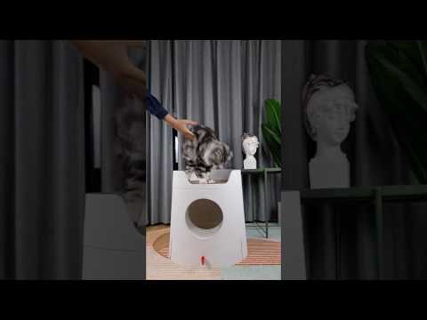 Michu XL Castle 2-in-1 Semi- Closed Cat Litter Box with Scratch Pad in Morandi Green/White-Petroom