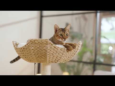 MICHU Ivy Cat Tower Deluxe 4-Tier Designer Tall Cat Tree-Petroom