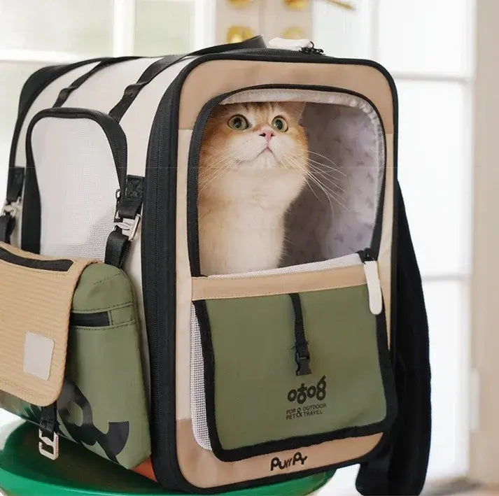 Cat in stylish pet carrier with mesh window, perfect for safe travel and outdoor adventures