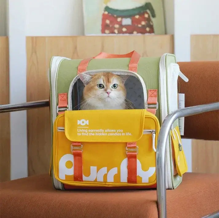 Orange cat peeking from stylish green and yellow Purrly pet carrier bag, perfect for cat travel and transport.