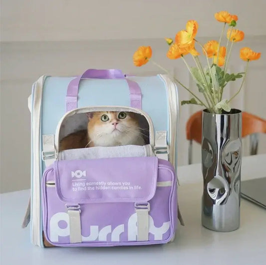 Cat in stylish purple and blue pet carrier bag with 'Purr' text, beside vase of orange flowers