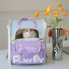 Cat in stylish purple and blue pet carrier bag with 'Purr' text, beside vase of orange flowers