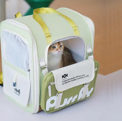 Cat in mint green pet carrier with mesh window and yellow straps, ideal for stylish cat travel