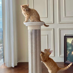 Roman Column Aesthetic Corrugated Cat Scratching Post – Stylish cat scratchers for Indoor Cats with two playful orange cats.