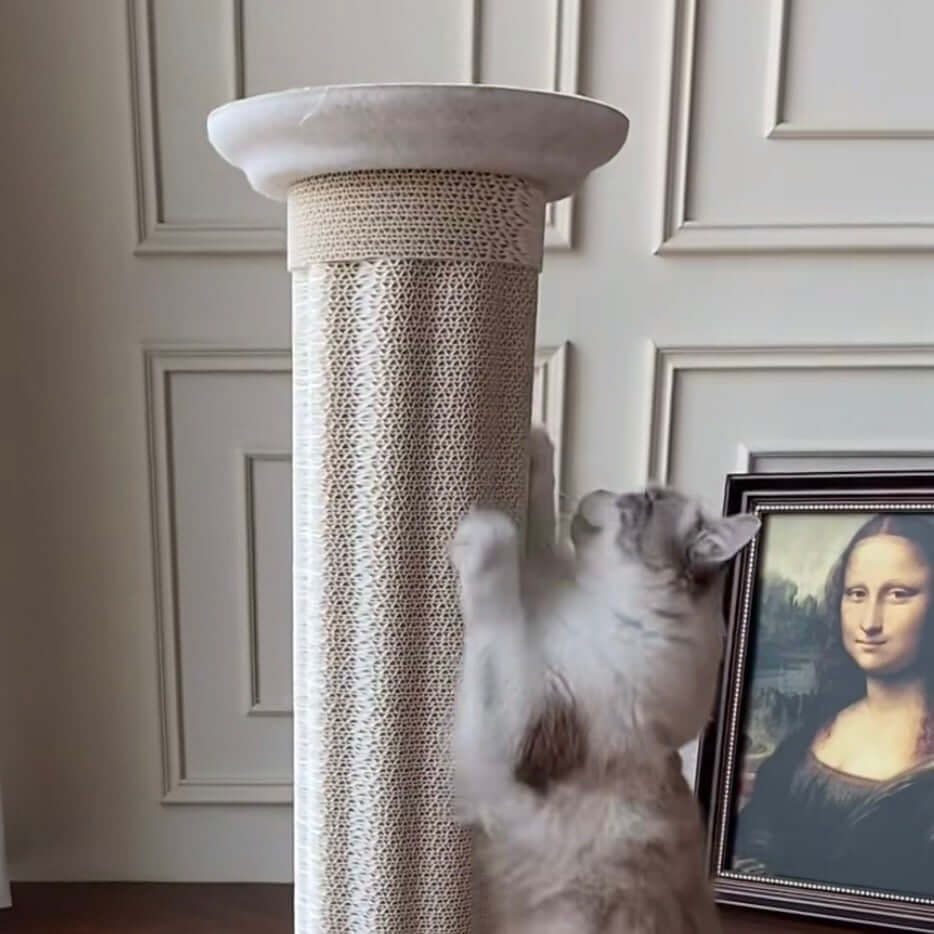 Roman Column Aesthetic Corrugated Cat Scratching Post – Stylish cat scratchers for Indoor Cats with a cat scratching the post.