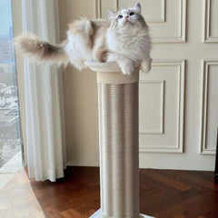 Roman Column Aesthetic Corrugated Cat Scratching Post – Stylish cat scratchers for Indoor Cats with a cat perched on top.