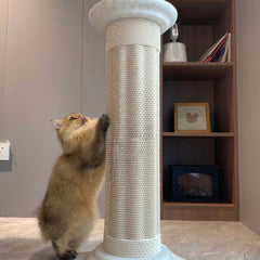 Roman Column Aesthetic Corrugated Cat Scratching Post – Stylish cat scratchers for Indoor Cats with a cat scratching the post.
