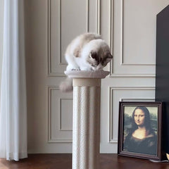 Roman Column Aesthetic Corrugated Cat Scratching Post – Stylish cat scratchers for Indoor Cats with a cat on top.